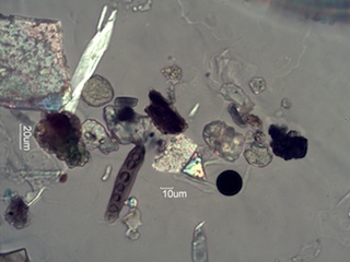 Spores, Pollen, Natural Minerals, etc.
