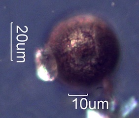 Etched Copper Arc Sphere