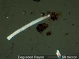 Degraded Rayon
