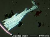 Degraded Wood