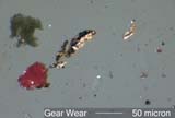Bronze Gear Wear and Paint