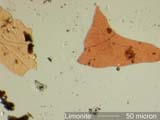 Limonite