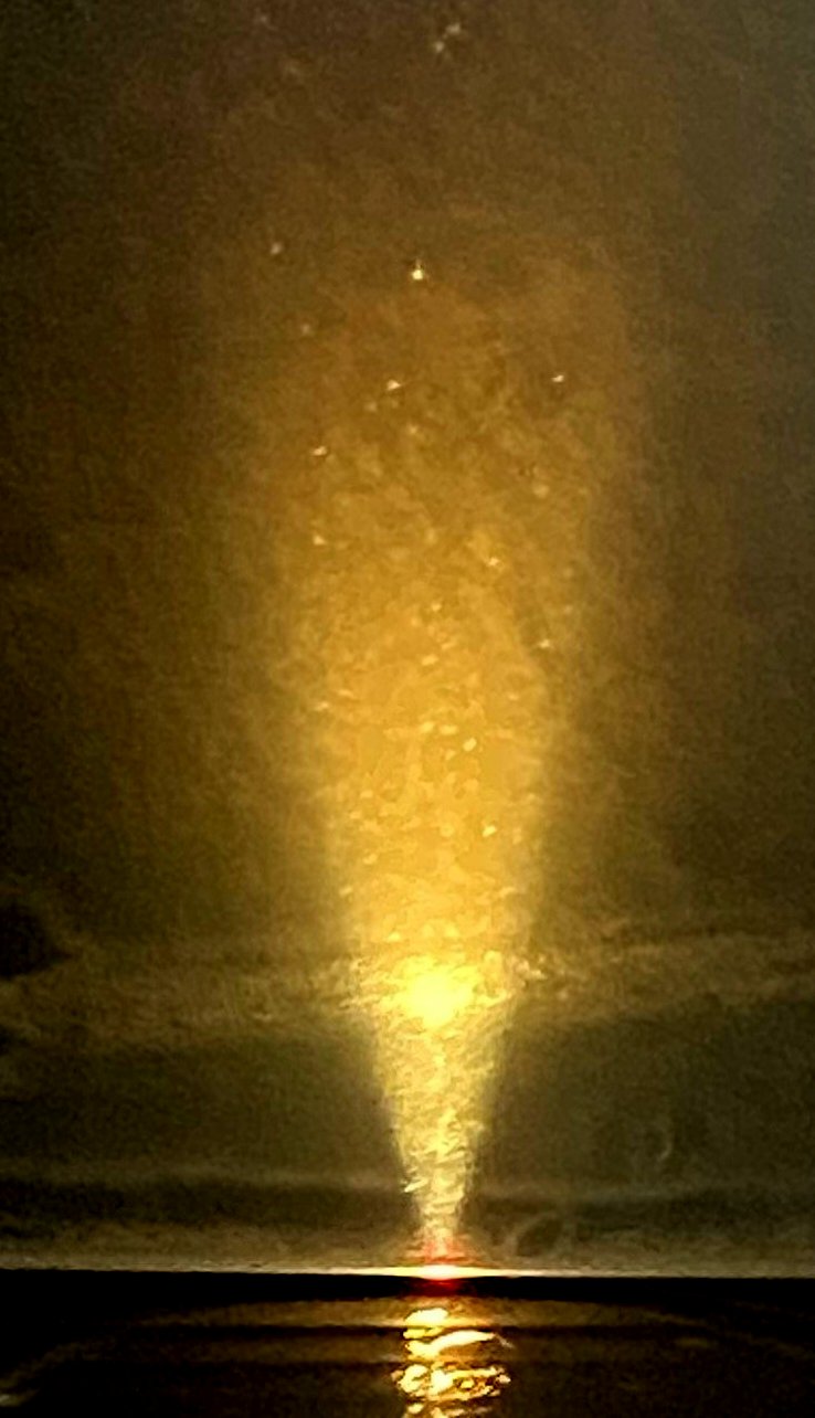 Transmitted Brightfield