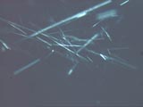 Tremolite MM1.605 200X X-pol