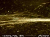 Tremolite