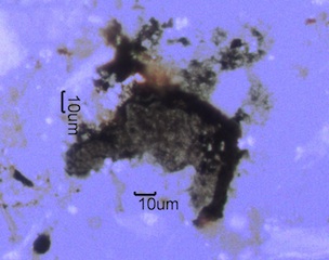 Agglomerated Soot