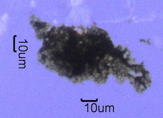 Agglomerated Soot