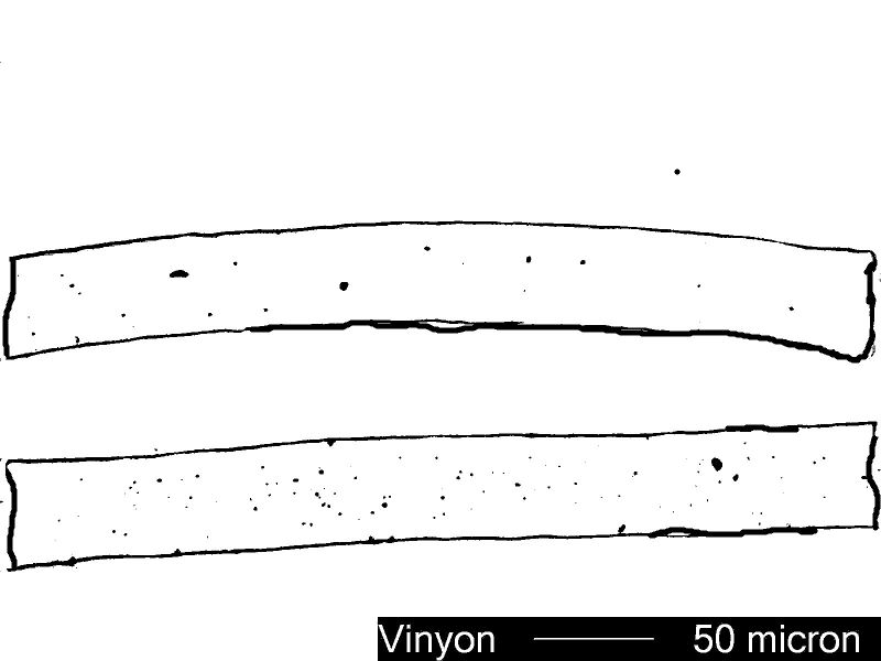 CELANESE Vinyon