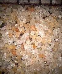 Sand, Virginia Beach, Virginia