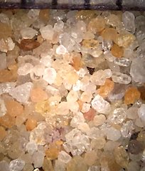 Sand, Virginia Beach, Virginia