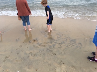 Sand, Virginia Beach, Virginia