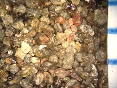 Beach Sand From Waipio, Hawaii (Big Island), Hawaii