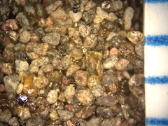 Beach Sand From Waipio, Hawaii (Big Island), Hawaii
