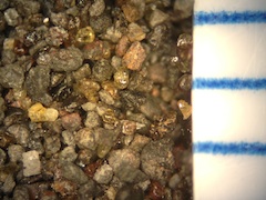 Beach Sand From Waipio, Hawaii (Big Island), Hawaii