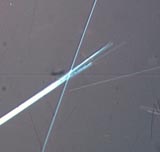 Amosite