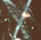 Chrysotile