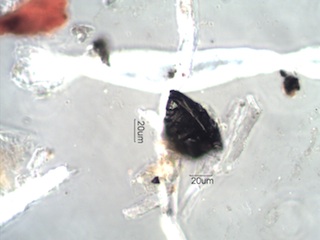Mill Scale and Magnetite Spheres Under the Microscope