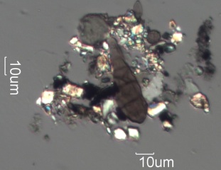 Wet Road Agglomerate