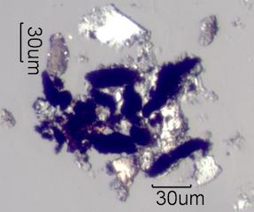 Wet Road Agglomerate