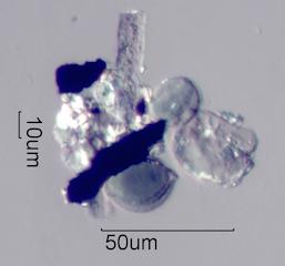 Wet Road Agglomerate