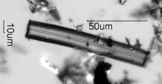 White Rain Particles Under the Microscope