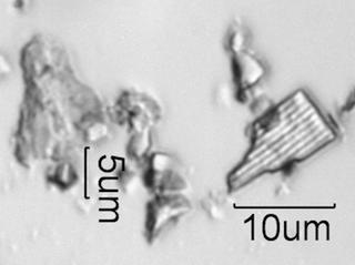 White Rain Particles Under the Microscope