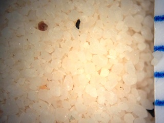 WhiteSands Sand