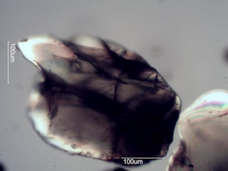 Beach Sand From Waipio, Hawaii (Big Island), Hawaii
