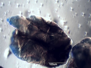 Beach Sand From Waipio, Hawaii (Big Island), Hawaii
