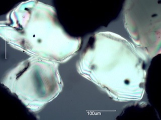Beach Sand From Waipio, Hawaii (Big Island), Hawaii