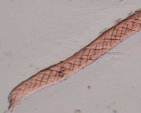 Degraded Paper Fiber