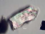 Zircon