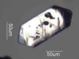 Zircon
