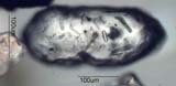 Zircon