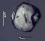 Zircon