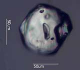Zircon