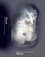Zircon