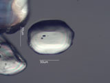 Zircon