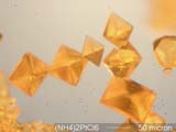 Ammonium Chloroplatinate