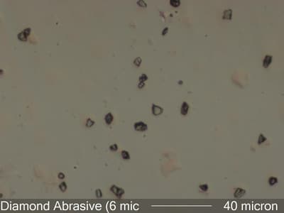 Diamond Abrasive Under the Microscope