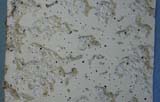 Acoustic Ceiling Tile Cropped
