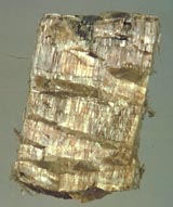 Chrysotile Ore, Globe, Arizona