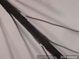 Dandylion Akene Hair