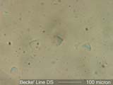 dsBLN1.61M7-1.605