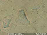 dsBLN1.67M7-1.662