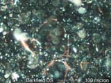 Darkfield Dispersion Staining