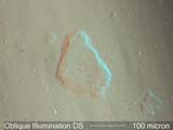 Oblique Dispersion Staining