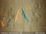 Oblique Dispersion Staining