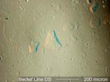 Oblique Dispersion Staining