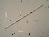 Kiln Glass Fiber